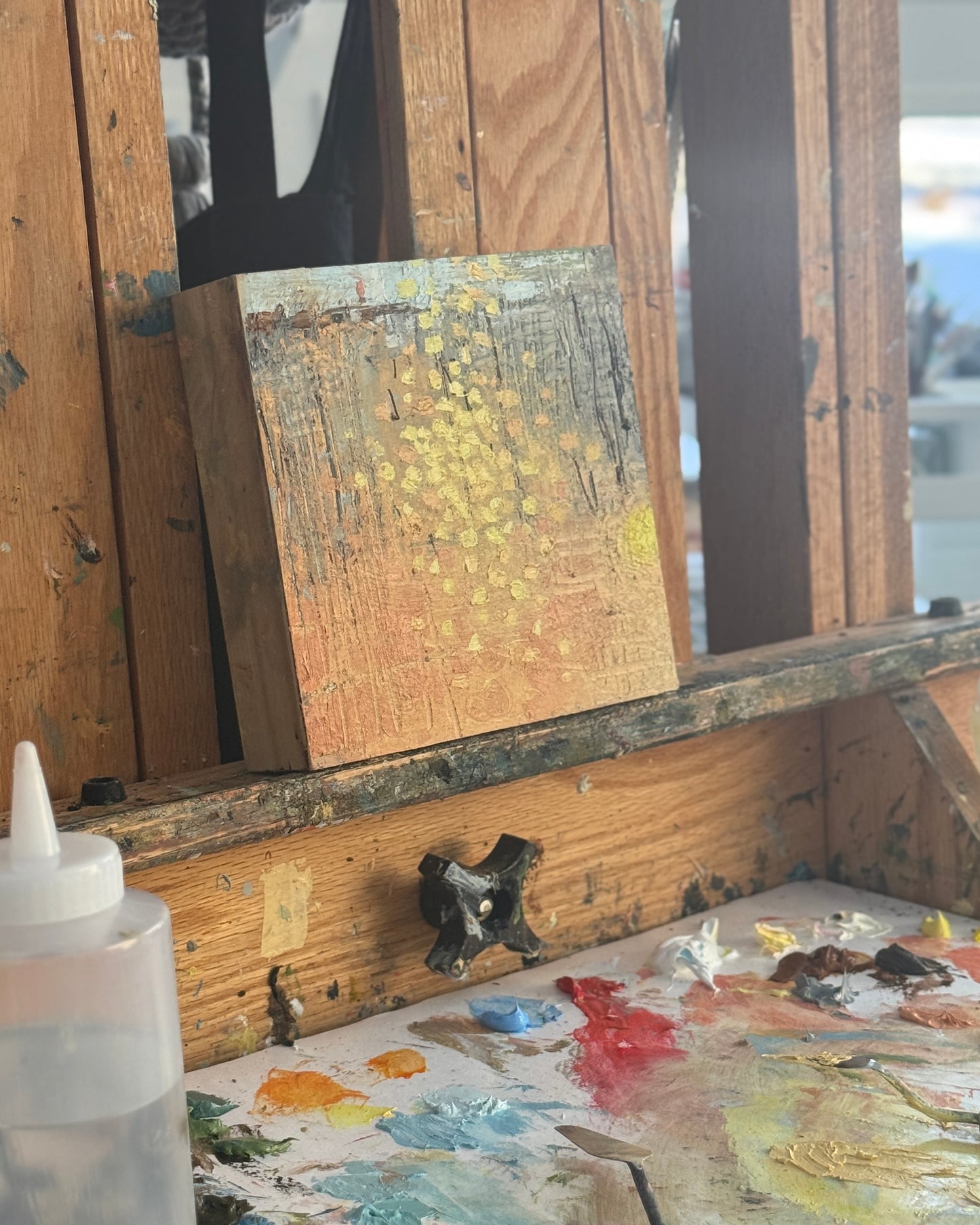 Winter Glimmers x Lifelines