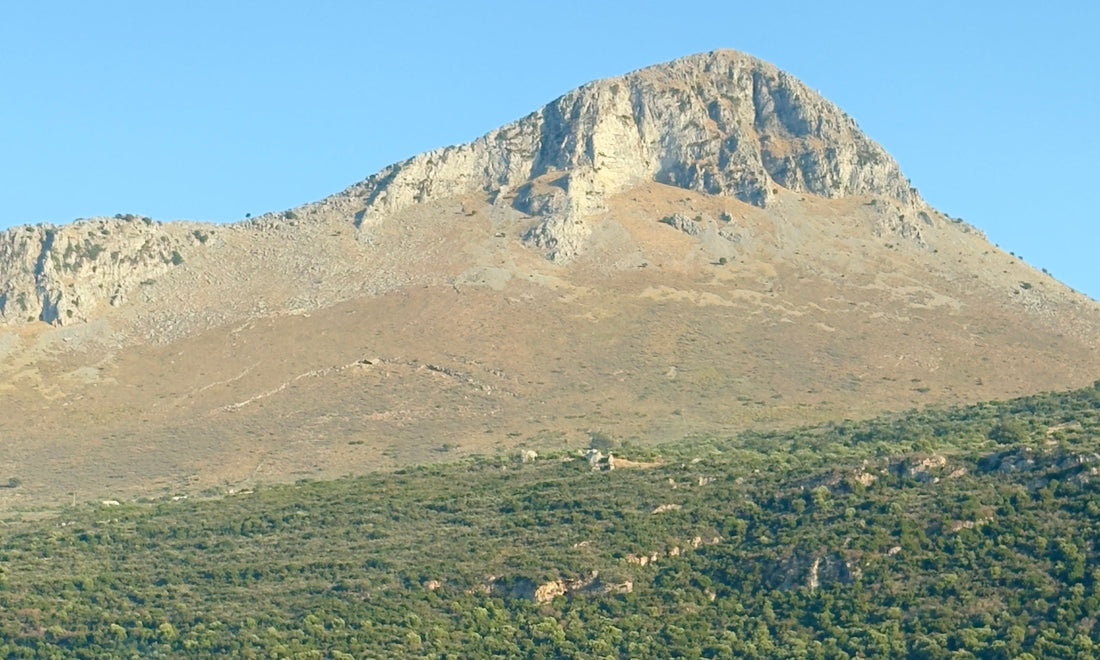 The Fool On The Hill