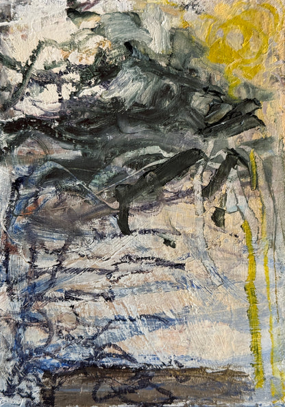 Sleep Study 13