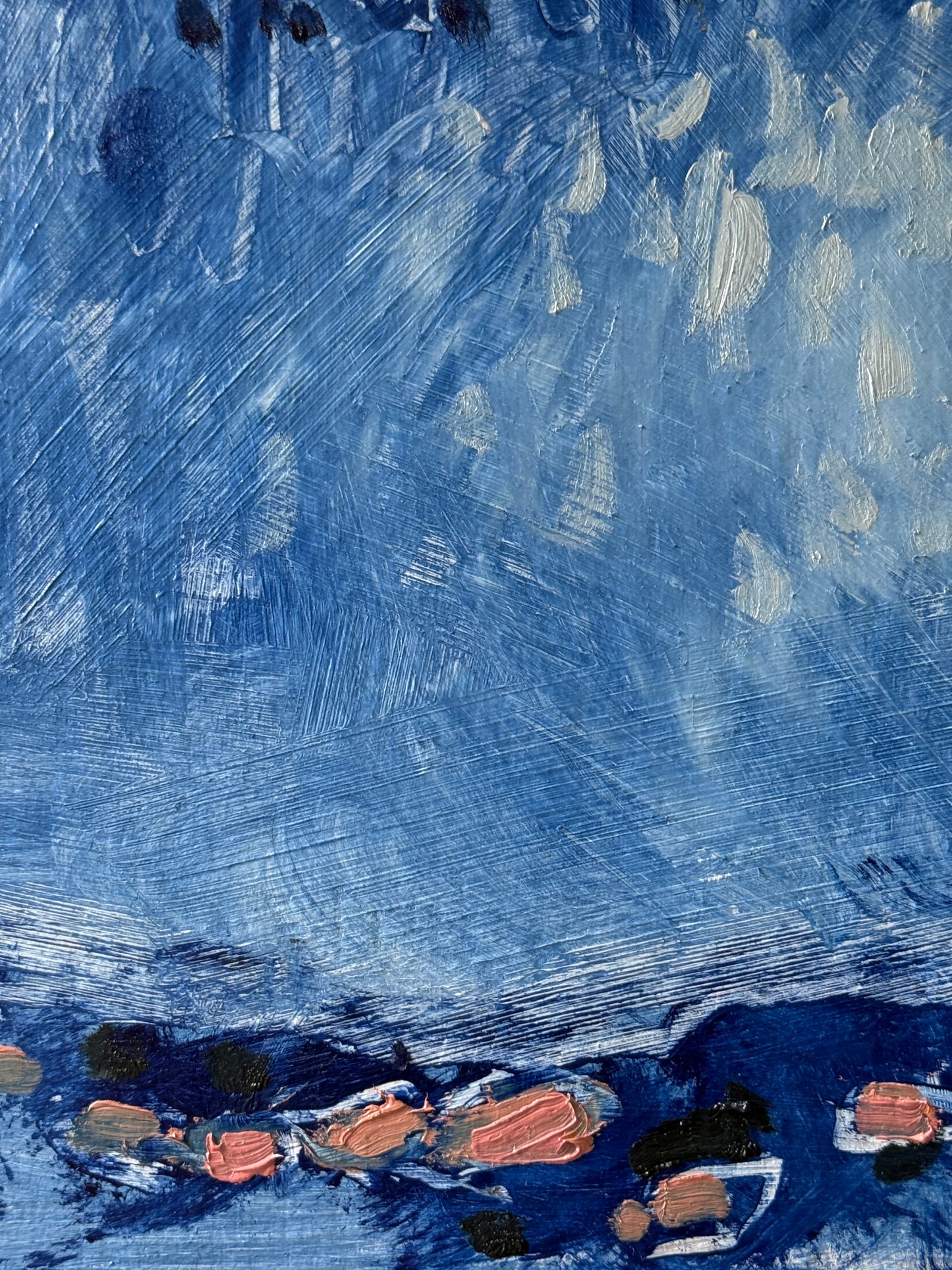 Sleep Study 1 (Blue Zone)