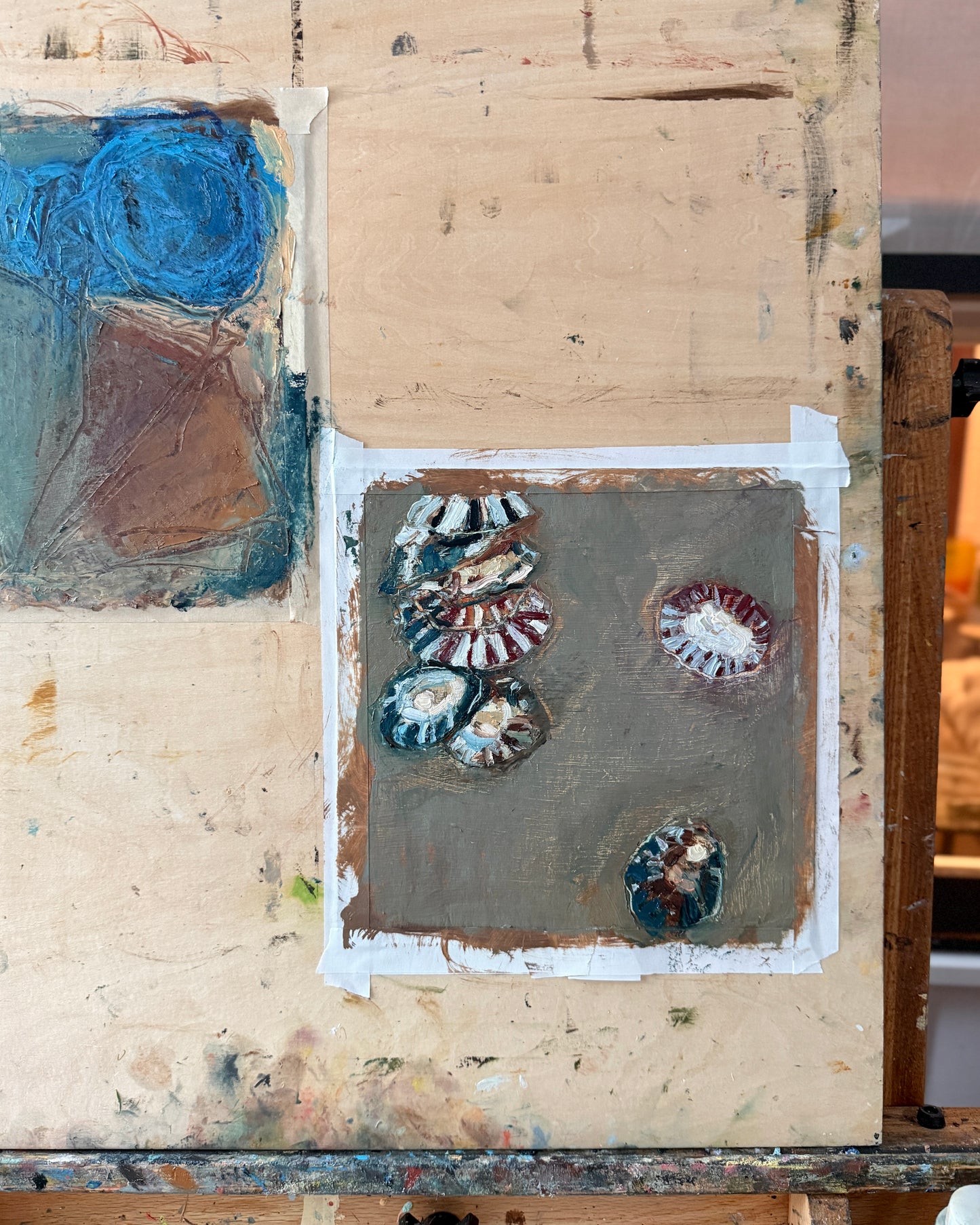 Limpets 3