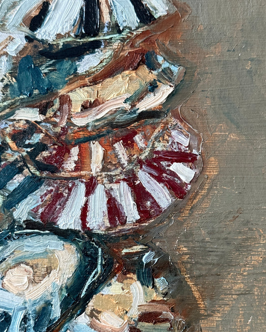 Limpets 3