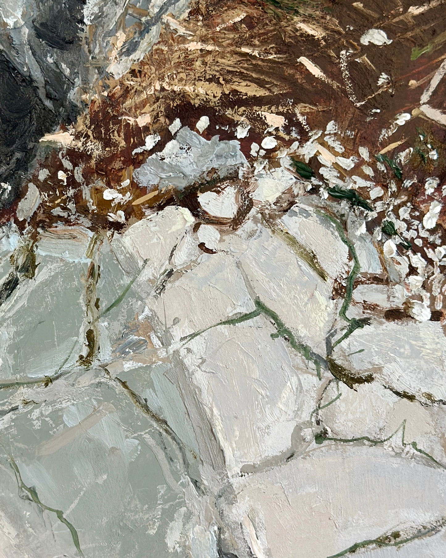Salt and the Sea