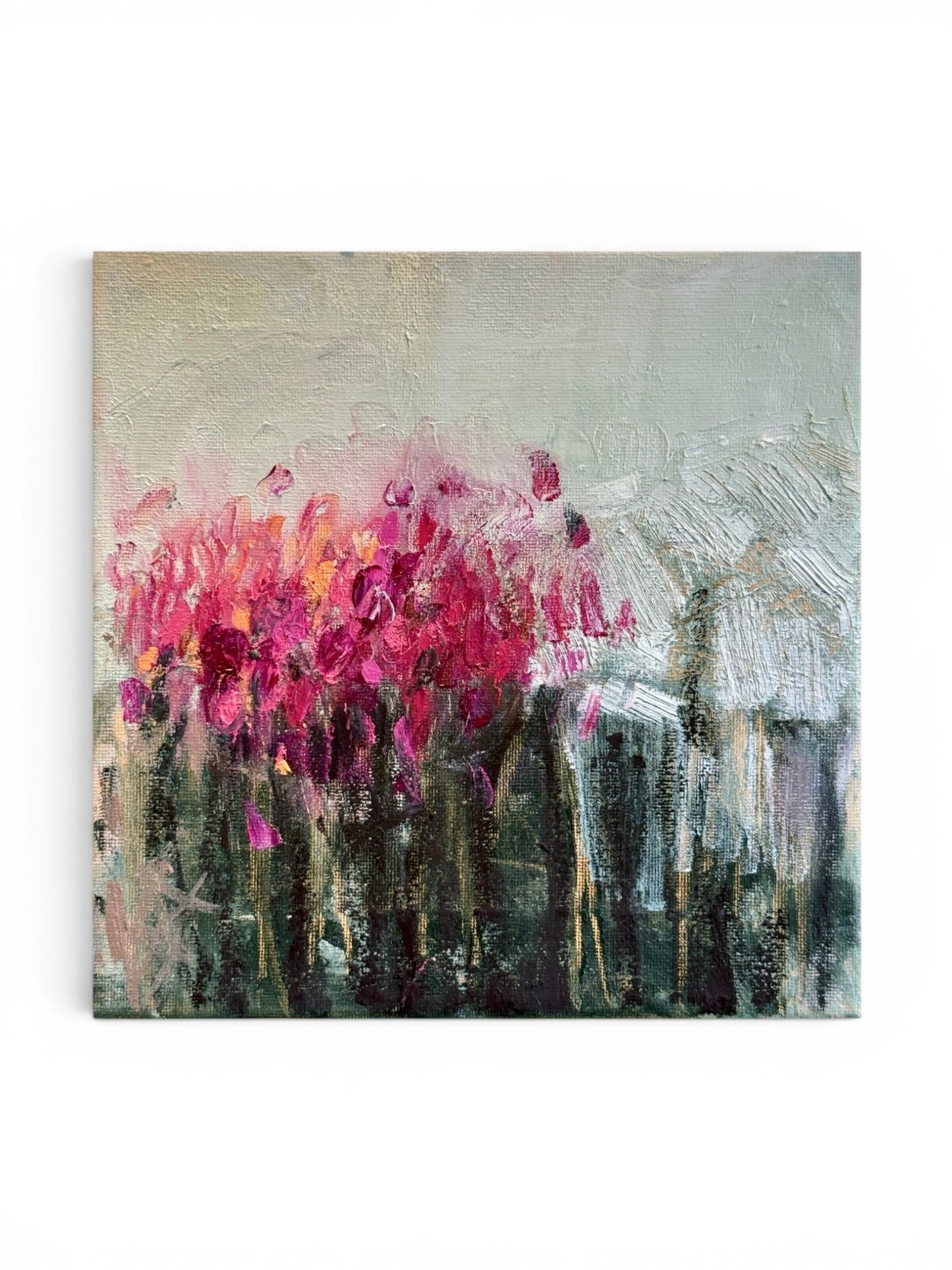 Sleep Study 31 (Dazzled)